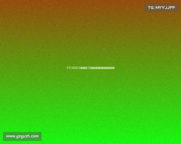 FIFA2002世界杯免CD经典回顾与游戏安装玩法解析珍藏版